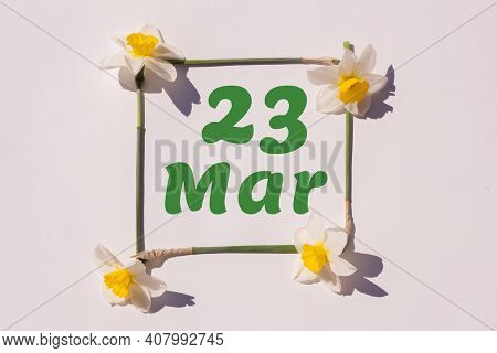 March 23th. Day 23 Of Month , Calendar Date. Frame From Flowers Of A Narcissus On A Light Background