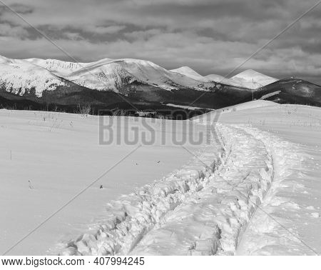Grayscale. Sledge Trace And Footprints On Winter Mountain Hill Top And Snow Covered Alp Chornohora R