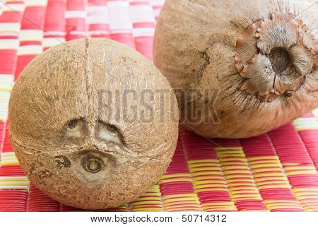 Eye Coconut Fruits