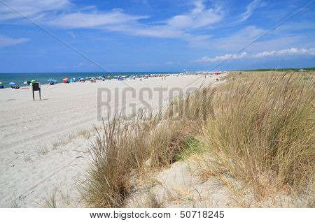 Picturesque view on Italian sandy beach Marina di Vecchiano nearby Pisa, Tuscany Ã¢ï¿½?ï¿½? Italy