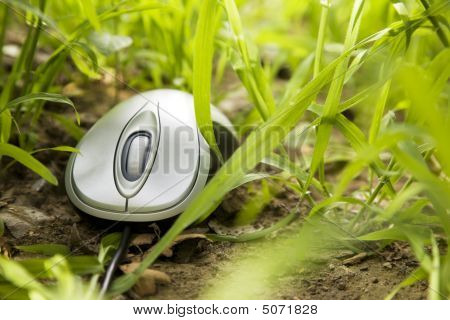 It’s A Jungle Out There