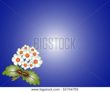 Flowers Background