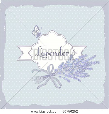 Lavender, herb, flower, floral vintage background