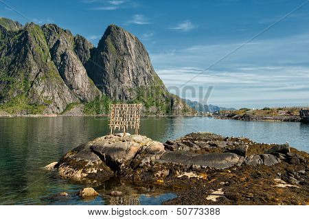 Stockfish drying at Lofoten