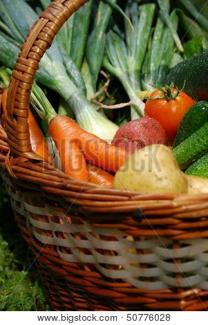 Vegetable Basket