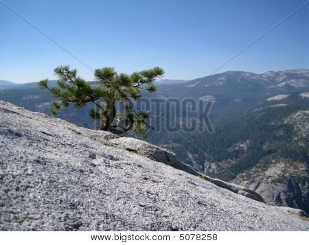 Nádherný výhled z vrcholu Half Dome