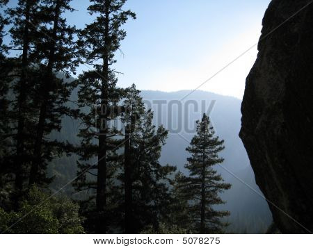 Borový les z Mist Trail v Yosemite