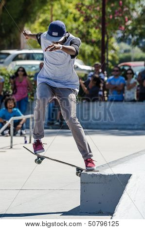 Anibal Martins