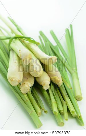 Lemongrass