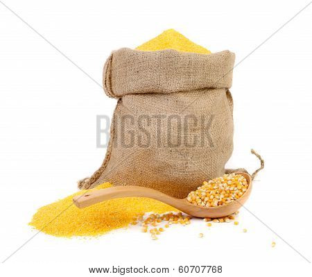Sack with corn grains and flour.