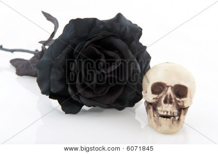 Halloween Black Rose