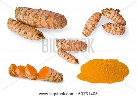 Tumeric (curcuma Longa)