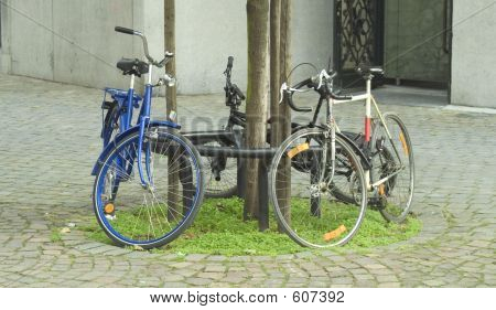Biciclette In città