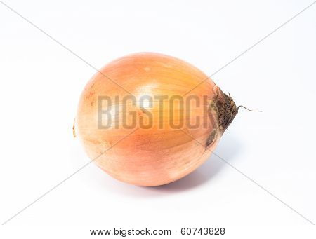 Onion Isolated