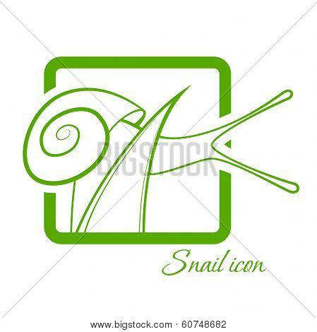 Snail Icon