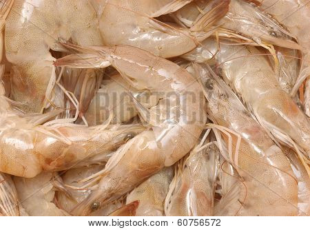 raw shrimps