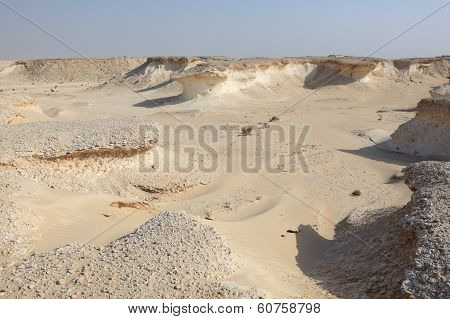 Desert Landscape In Qatar