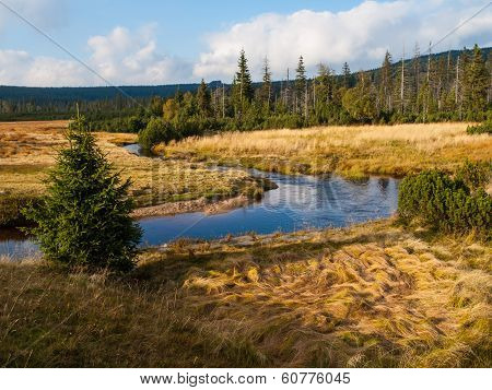 Meander of Jizerka creek