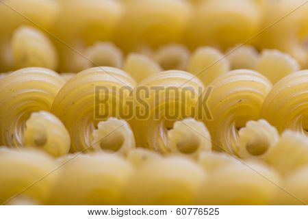 Ribbed Dry Yellow Macaroni With Periodic Line