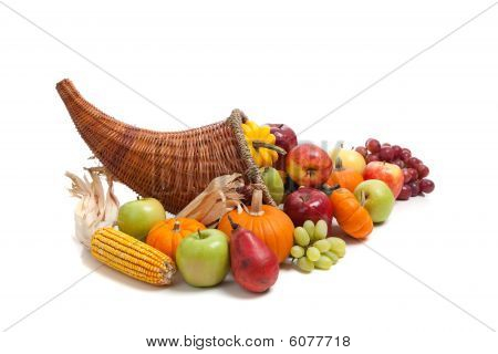 Fall Cornucopia On A White Back Ground