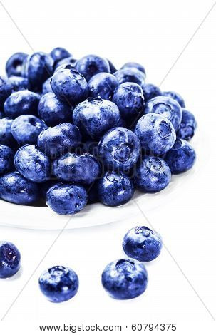 Fresh Blueberries On White Plate Isolated On White Background Close Up. Group Of Huge Blue Berries M