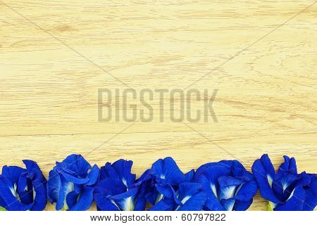 Asian Pigeonwings Or Clitoria Ternatea On Bottom