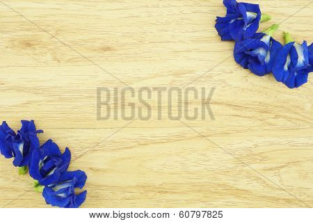 Asian Pigeonwings Or Clitoria Ternatea On Corner