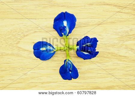 Asian Pigeonwings Or Clitoria Ternatea On Wood Background