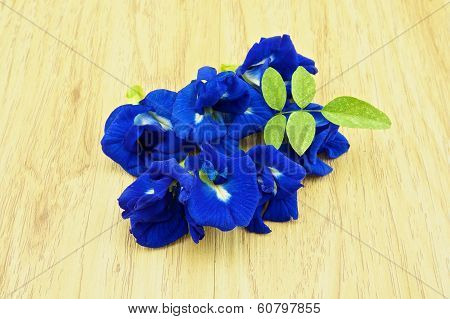 Group Of Asian Pigeonwings Or Clitoria Ternatea With Green Leafs