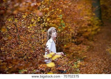 Boy Sitting In An Autumn Park