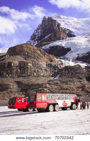 Ice buses