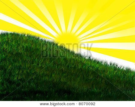 bright sun on grassy hill
