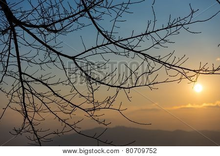 Sunrise