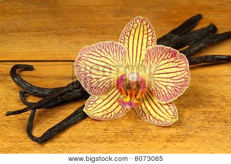 Orchidej a Vanilkové lusky na dřevěné desce