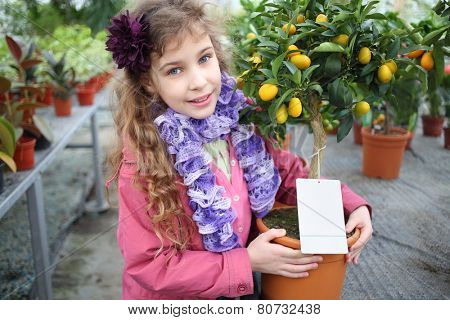 Little girl standing next to a small tree citrus cumquat in the greenhouse 