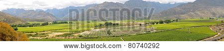 Panoramic View Of The Hex River Valley
