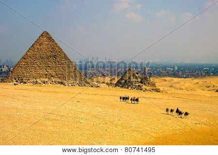 Pyramids And Caravan, Egypt