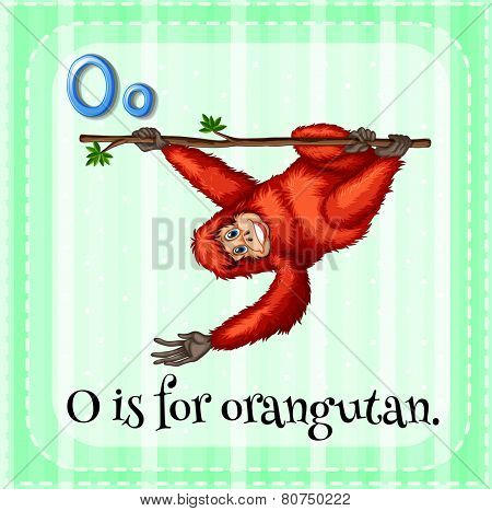 Illustration of a letter o is for orangutan