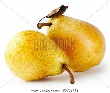Two yellow pears with leaf