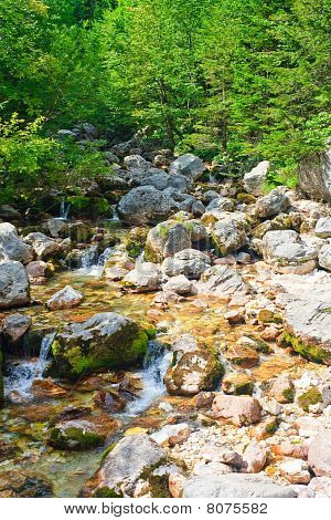 冰冷的高山河流水、 沿海 / Isonzo、 斯洛文尼亚