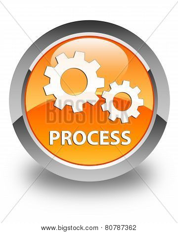 Process Glossy Orange Round Button