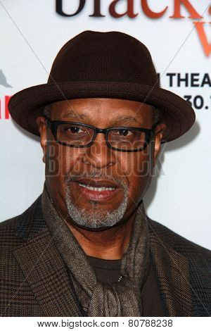 LOS ANGELES - JAN 20:  James Pickens Jr at the 
