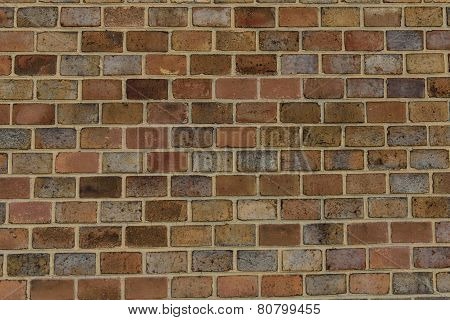 Brick Wall