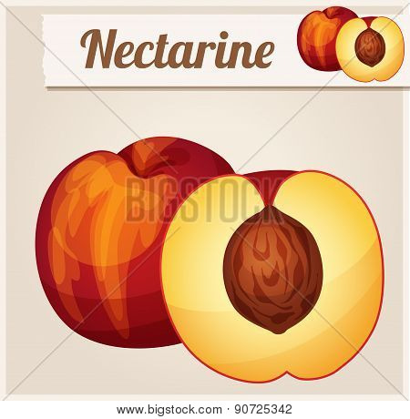 Nectarine.  Detailed Vector Icon