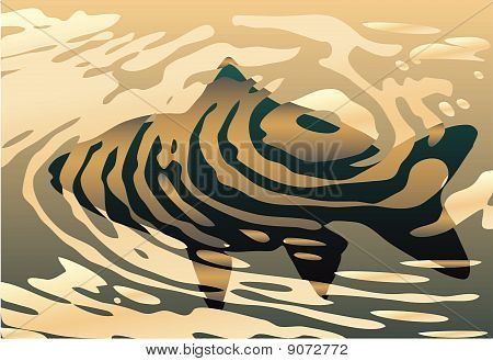 Rippled Fish