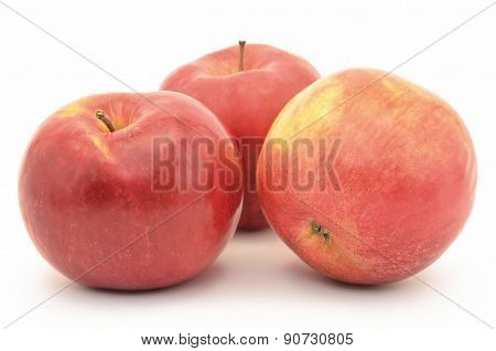 Red, Ripe Apples Jonagold Isolated On White Background