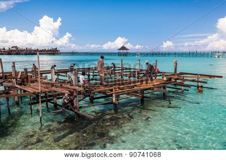 JUNE 27, 2006 - SABAH, MALAYSIA: Construction workers lay the foundation frame on stilts planted in to the shallow sea for the construction of a wooden building to be make a tourist resort chalet. 