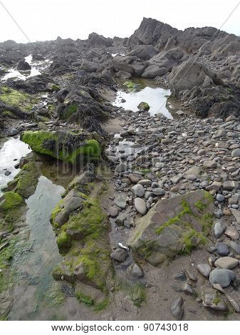 Rocky Beach Seascape
