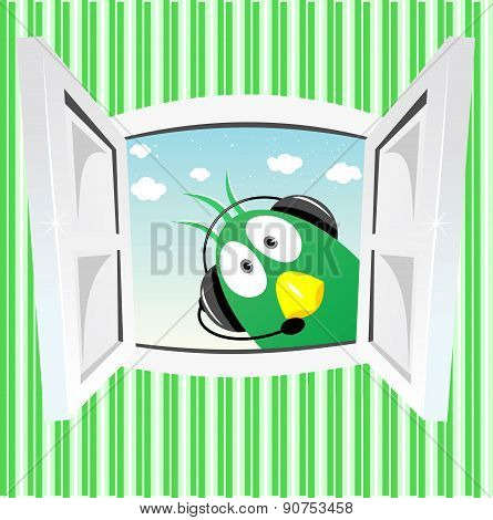 funny green bird looking into open window