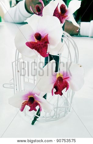 Cage flowers